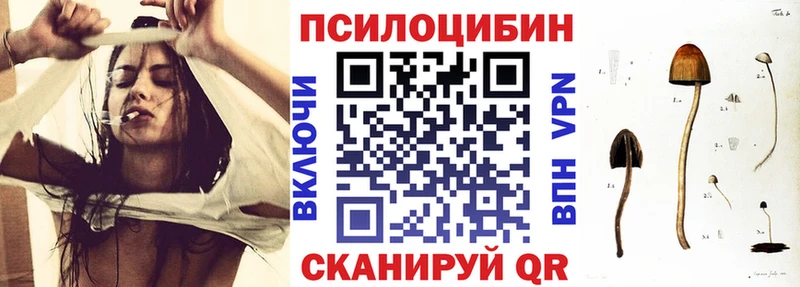 купить закладку  Светлоград  Галлюциногенные грибы прущие грибы 